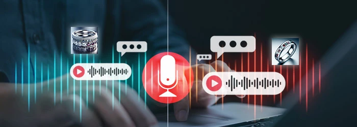 Design Collaboration with VoiceGem at Sapours Technologies Pvt Ltd